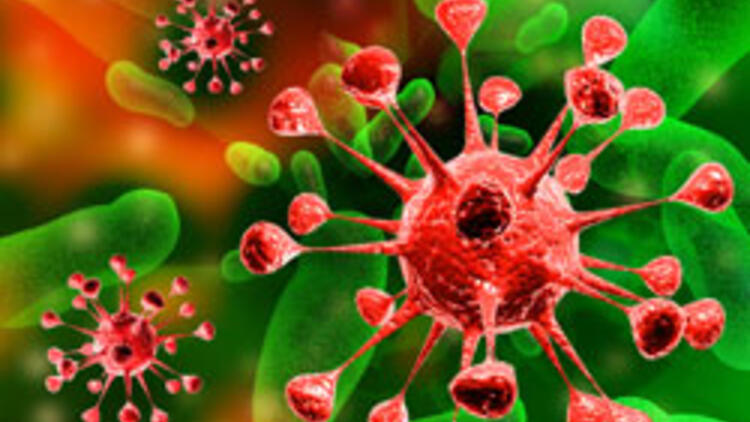 İl Pandemik Influenza Acil Eylem Planı (PACEP) Rehberi